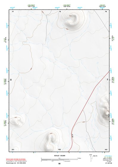 31109NE Page 90 Chiricahua Peak Topo Preview 1