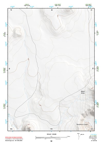 31109NE Page 92 Chiricahua Peak Topo Preview 1