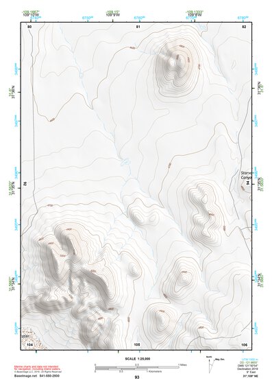 31109NE Page 93 Chiricahua Peak Topo Preview 1