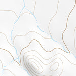 31109NE Page 93 Chiricahua Peak Topo Preview 2