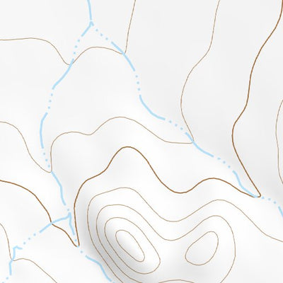 31109NE Page 93 Chiricahua Peak Topo Preview 2