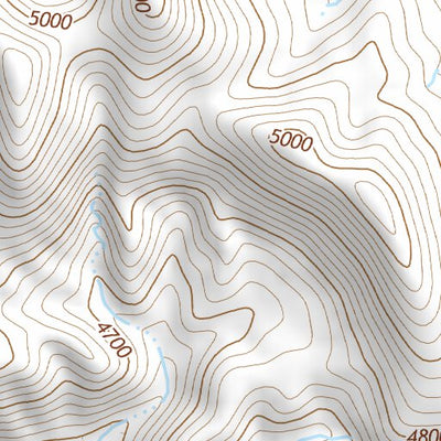 31109NE Page 93 Chiricahua Peak Topo Preview 3
