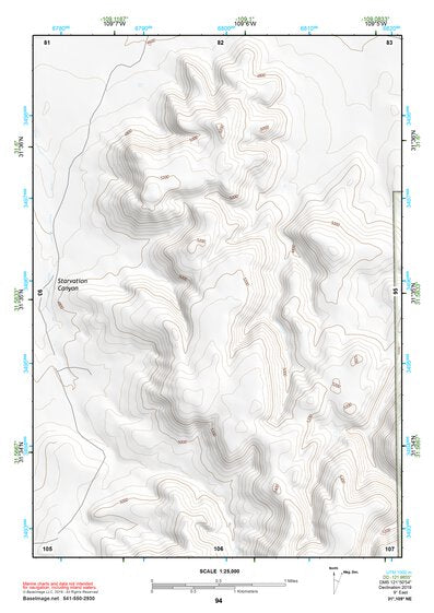 31109NE Page 94 Chiricahua Peak Topo Preview 1