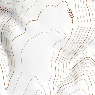31109NE Page 94 Chiricahua Peak Topo Preview 2