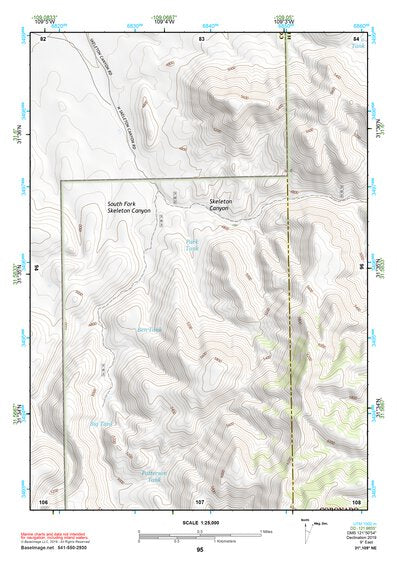 31109NE Page 95 Chiricahua Peak Topo Preview 1