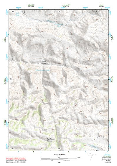 31109NE Page 96 Chiricahua Peak Topo Preview 1