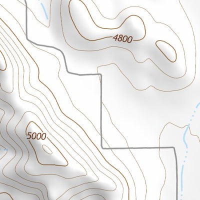 31109NE Page 97 Chiricahua Peak Topo Preview 2
