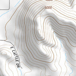 31109NE Page 97 Chiricahua Peak Topo Preview 3