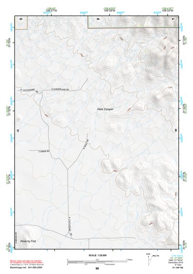 31109NE Page 98 Chiricahua Peak Topo Preview 1
