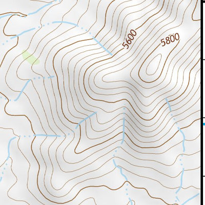 31109NE Page 98 Chiricahua Peak Topo Preview 3