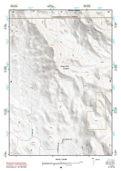 31109NE Page 99 Chiricahua Peak Topo Preview 1