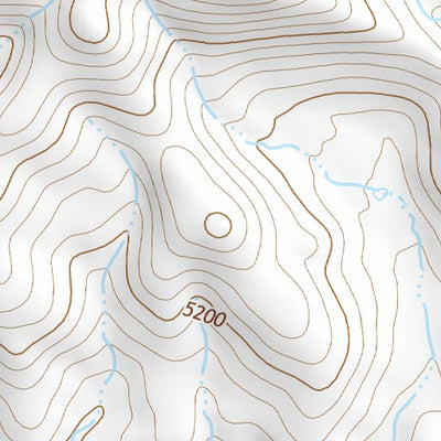 31109NE Page 99 Chiricahua Peak Topo Preview 2