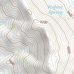 31109NE Page 99 Chiricahua Peak Topo Preview 3