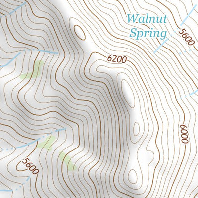31109NE Page 99 Chiricahua Peak Topo Preview 3