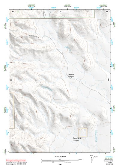 31109NE Page 100 Chiricahua Peak Topo Preview 1