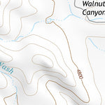31109NE Page 100 Chiricahua Peak Topo Preview 2