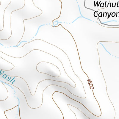 31109NE Page 100 Chiricahua Peak Topo Preview 2