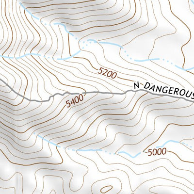 31109NE Page 100 Chiricahua Peak Topo Preview 3