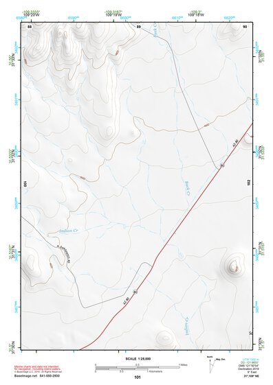 31109NE Page 101 Chiricahua Peak Topo Preview 1