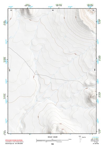 31109NE Page 104 Chiricahua Peak Topo Preview 1