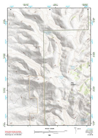 31109NE Page 106 Chiricahua Peak Topo Preview 1
