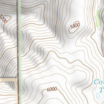 31109NE Page 106 Chiricahua Peak Topo Preview 2