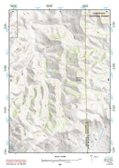 31109NE Page 107 Chiricahua Peak Topo Preview 1