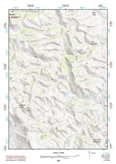 31109NE Page 108 Chiricahua Peak Topo Preview 1