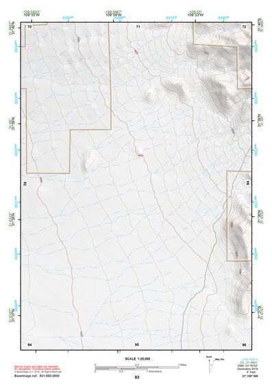 31109NW Page 83 Chiricahua Peak Topo Preview 1