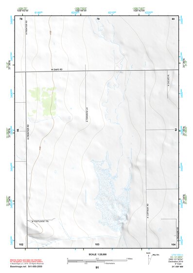 31109NW Page 91 Chiricahua Peak Topo Preview 1