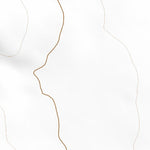 31109SW Page 5 Douglas Topo Preview 2