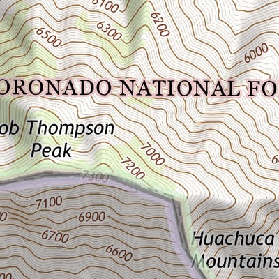 31110SE Page 31 Nogales Topo Preview 3