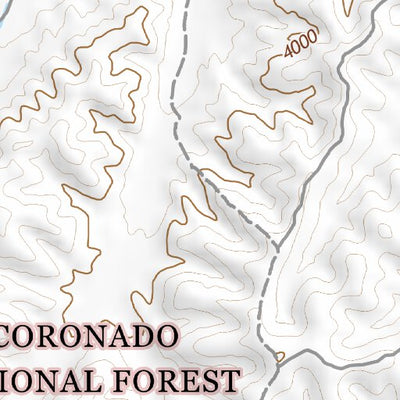 31110SW Page 25 Nogales Topo Preview 3