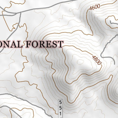 31110SW Page 30 Nogales Topo Preview 2