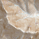 31111NE Page 1 Sells Topo Preview 3