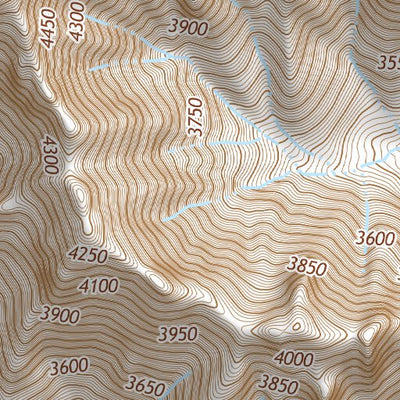 31111NE Page 1 Sells Topo Preview 3