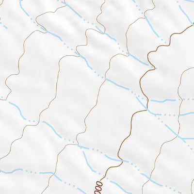 31111NE Page 4 Sells Topo Preview 2