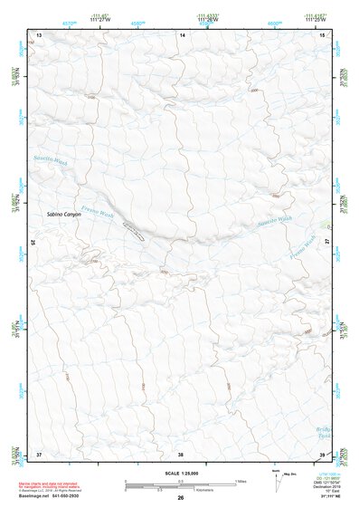 31111NE Page 26 Sells Topo Preview 1