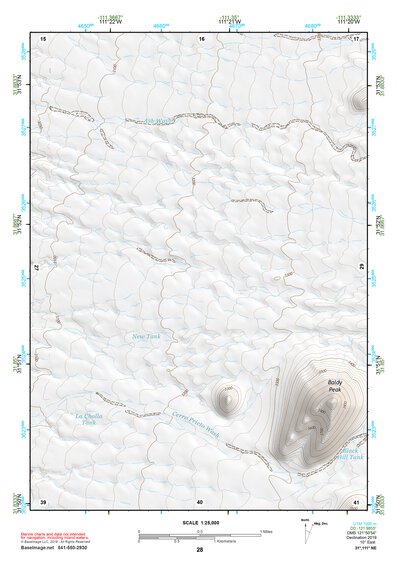 31111NE Page 28 Sells Topo Preview 1
