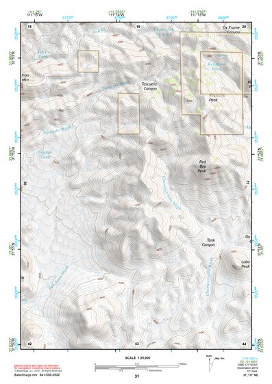 31111NE Page 31 Sells Topo Preview 1