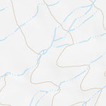 31111NE Page 41 Sells Topo Preview 2