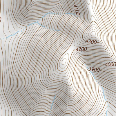 31111NE Page 41 Sells Topo Preview 3