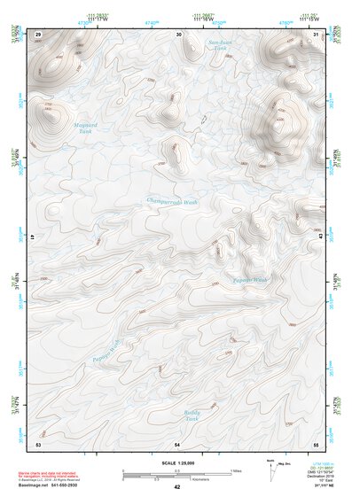 31111NE Page 42 Sells Topo Preview 1