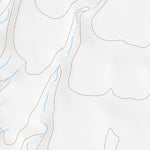 31111NE Page 43 Sells Topo Preview 2