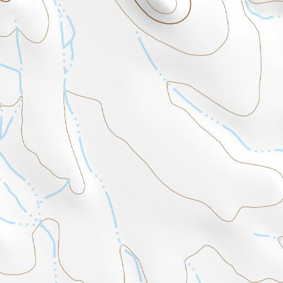 31111NE Page 45 Sells Topo Preview 2