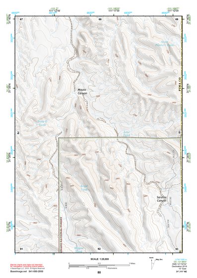 31111NE Page 80 Sells Topo Preview 1