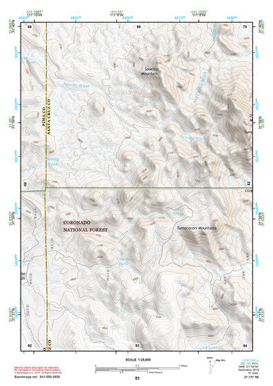 31111NE Page 81 Sells Topo Preview 1