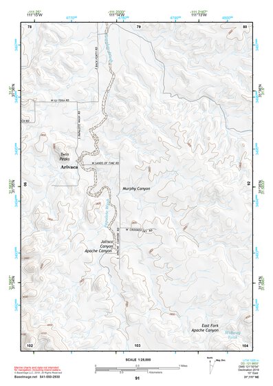 31111NE Page 91 Sells Topo Preview 1