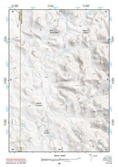 31111NE Page 93 Sells Topo Preview 1