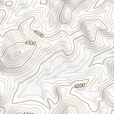 31111NE Page 99 Sells Topo Preview 2